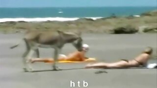 Вершниця